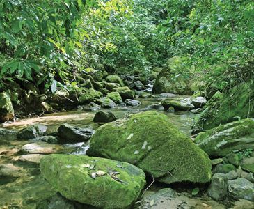 Acuerdos recíprocos ambientales (ARA+)