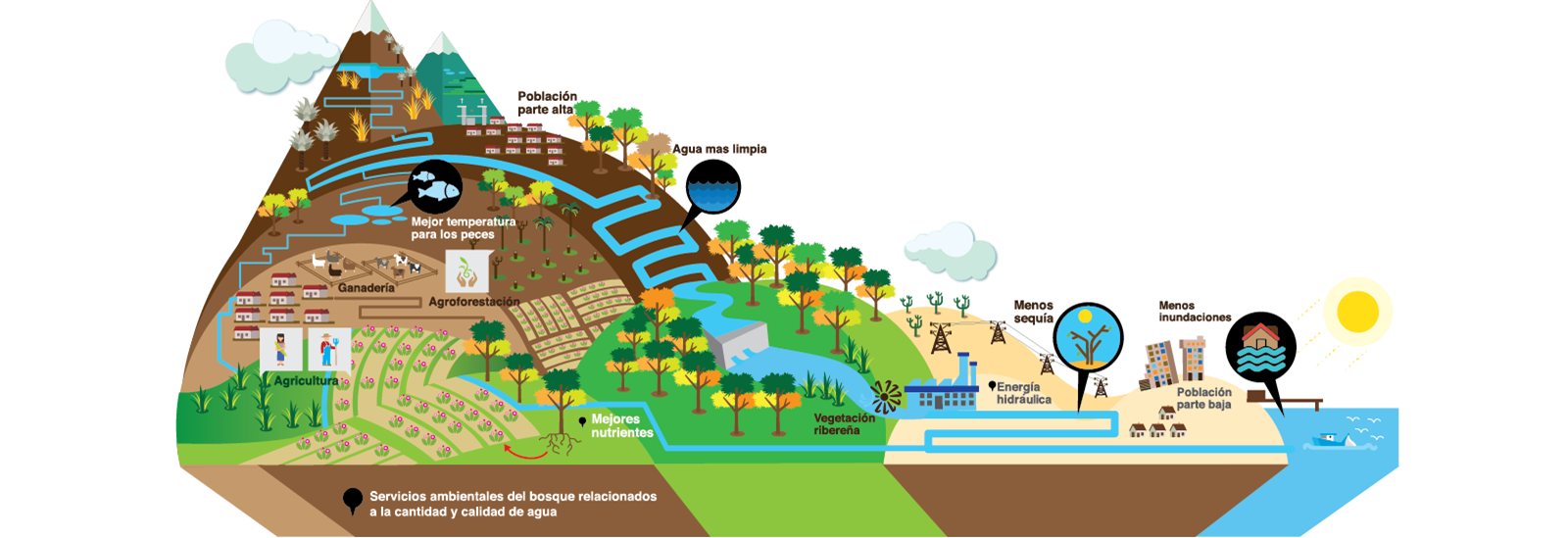 infografia-eje-agua-web-1600x500-01-(2).png