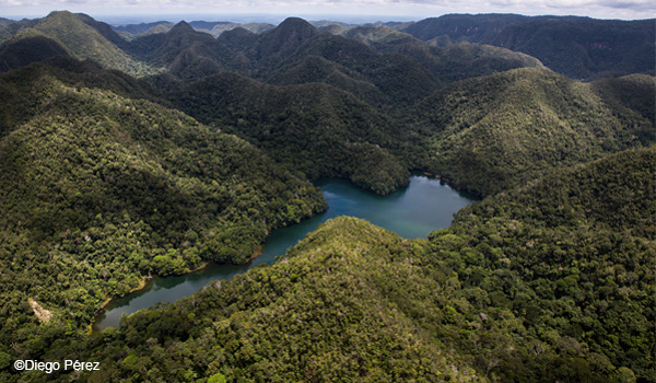 programa-MFS-AGUA.jpg